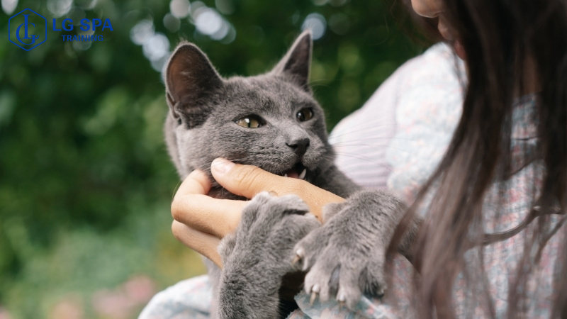 rớt lớp 10 học nghề chăm sóc thú cưng