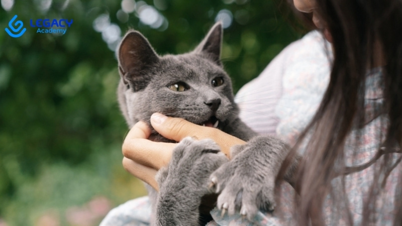 rớt lớp 10 học nghề chăm sóc thú cưng