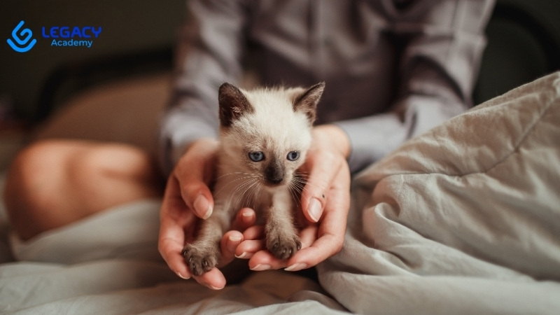 học nghề chăm sóc thú cưng ở tuổi 24