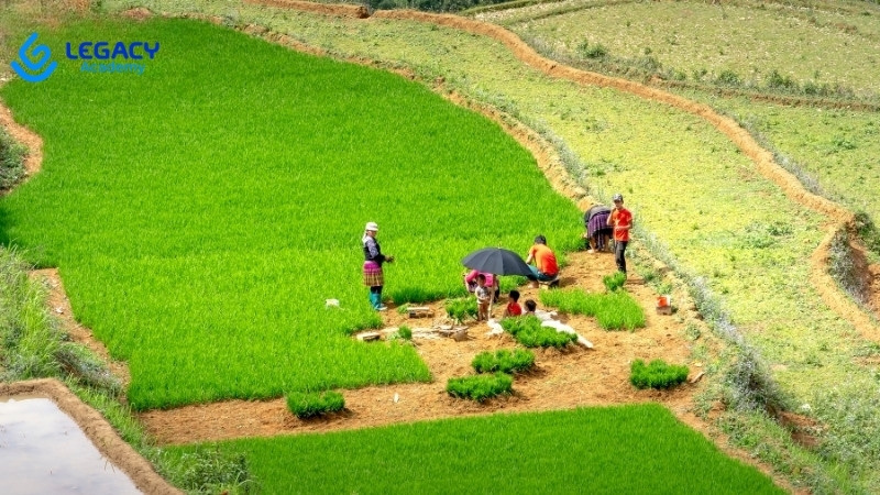 25 tuổi học nghề kỹ sư nông nghiệp