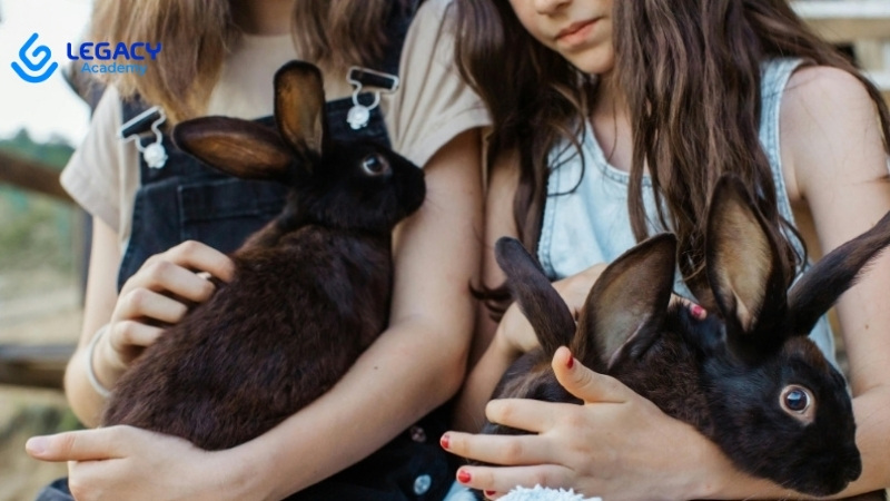 26 tuổi học nghề chăm sóc thú cưng