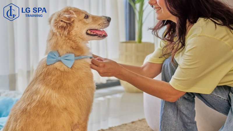 32 tuổi làm nghề chăm sóc thú cưng