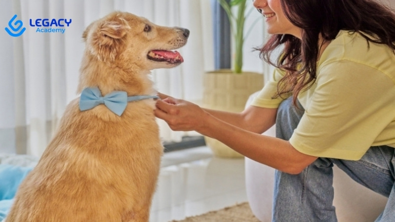 32 tuổi làm nghề chăm sóc thú cưng