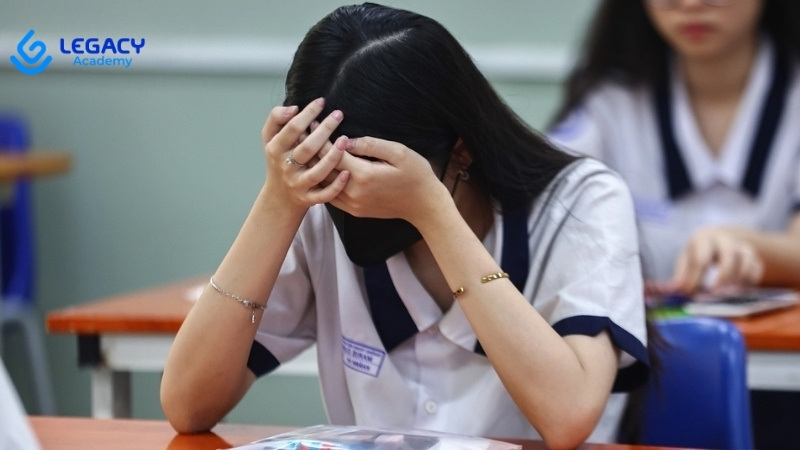 bỏ học cấp 2 nên làm gì