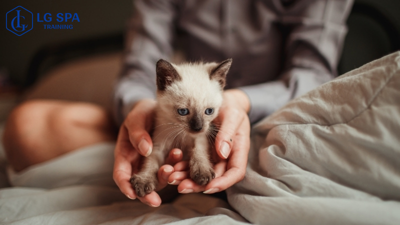 học nghề chăm sóc thú cưng ở tuổi 24