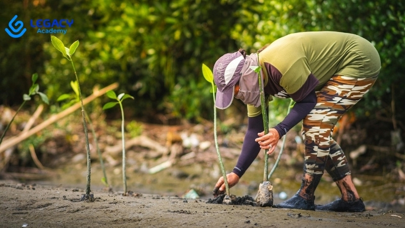 Học trồng và chăm sóc cây cảnh kiếm tiền dễ