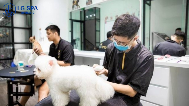 con trai học nghề chăm sóc thú cưng để lập nghiệp