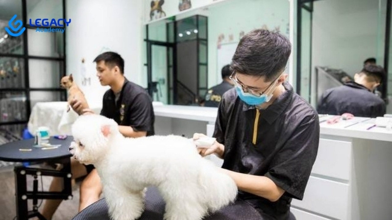 con trai học nghề chăm sóc thú cưng để lập nghiệp