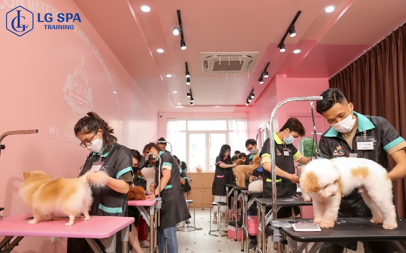 40 tuổi học nghề chăm sóc thú cưng