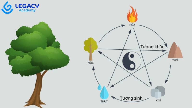 ngũ hành mệnh mộc