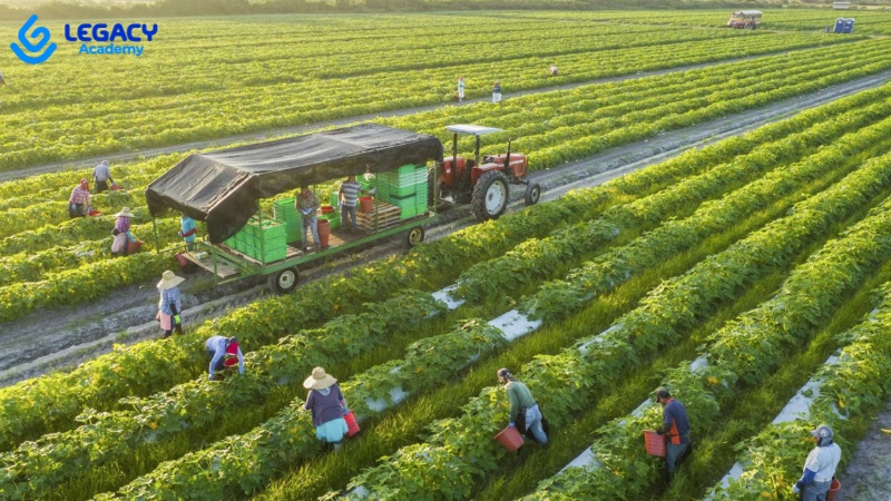 ngành nông nghiệp