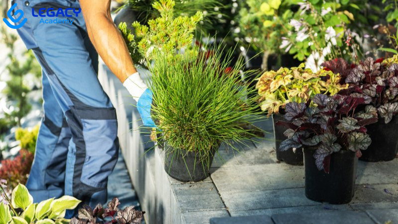 nam mệnh mộc hợp nghề gì