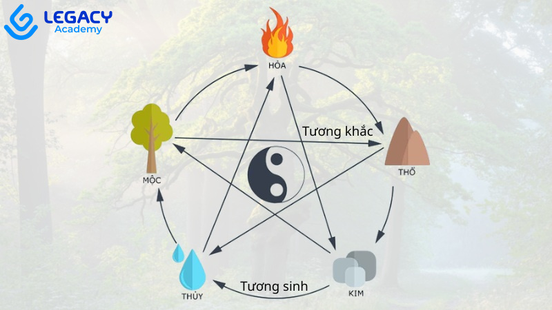 ngũ hành mệnh mộc