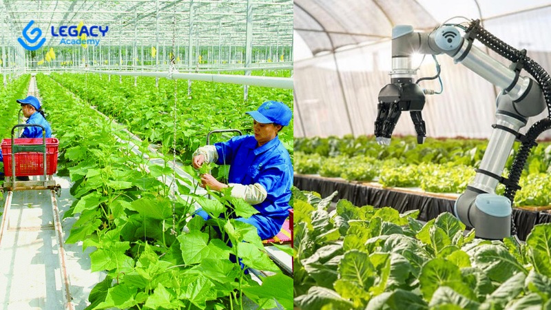 nữ mệnh thổ hợp làm nông nghiệp